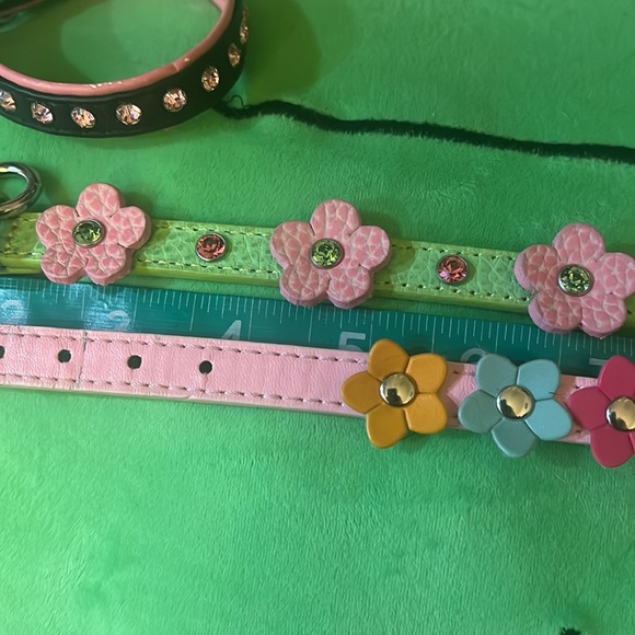 Dog collar lot - Picture 3 of 7